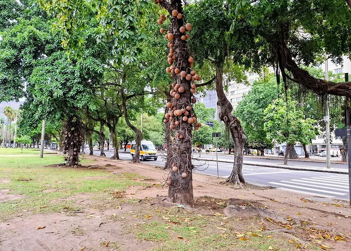 Botafogo: Pão de Açúcar e Conforto | 4 hóspedes Rio de Janeiro